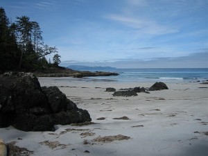 Cape Scott