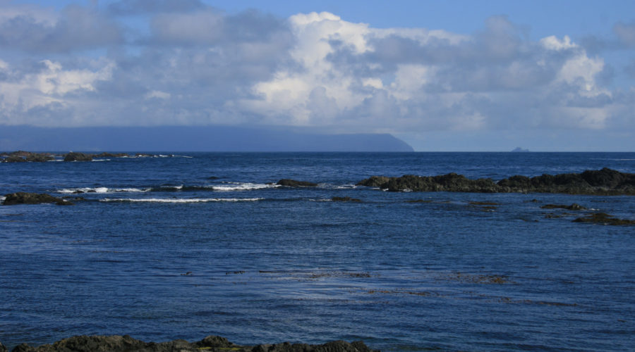 Day 9 – In Tofino