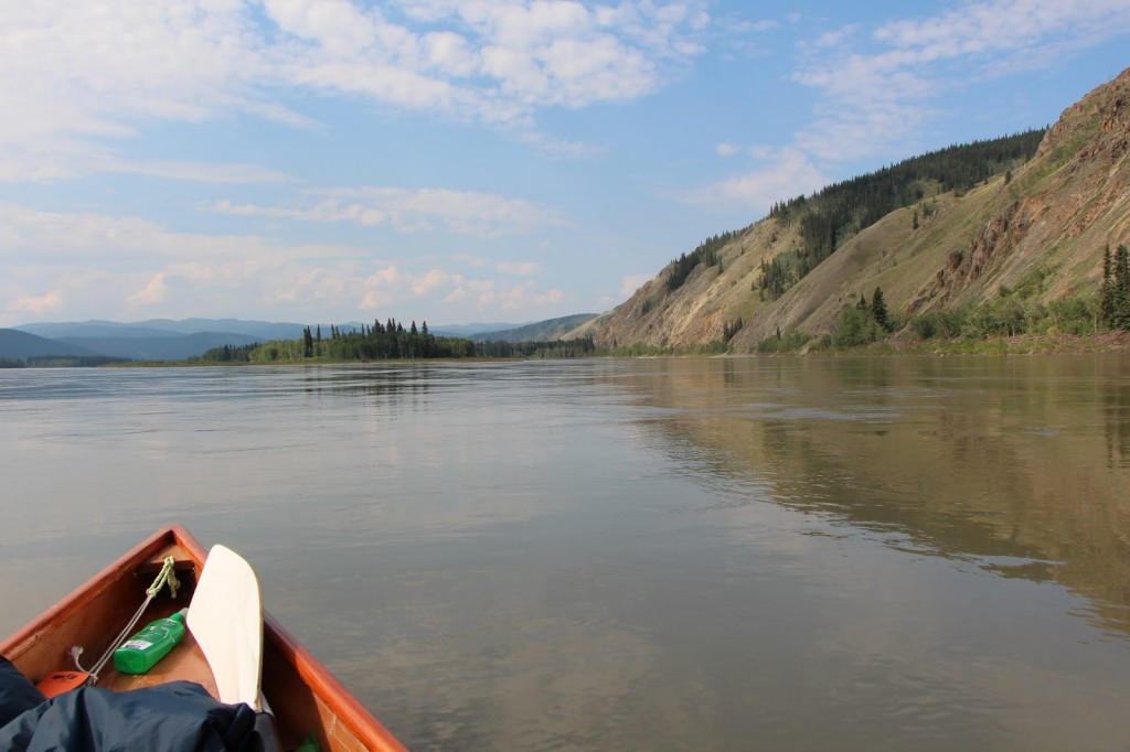 Река юкон относится к бассейну океана. Yukon Gold. Юкон река есть ли там золото.