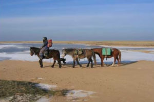 Tim Cope : Following the Route of Ghengis Khan by Horseback