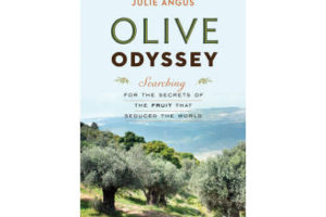 Olive Odyssey Cover