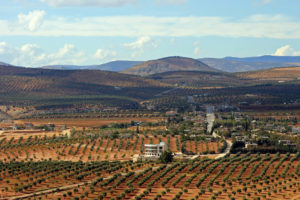 Julie's Kurdish family's village and olive groves