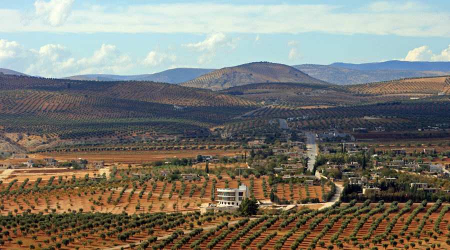 Julie's Kurdish family's village and olive groves